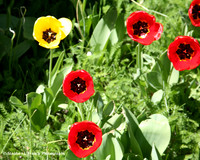Standing Out