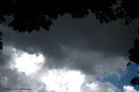 "Dark & Light"