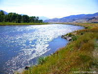 "Gleaming River"  - Yellowstone National Park, California