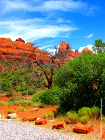 "Life and Death" - Sedona, Arizona