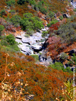 "Colors of the Stream" - Sequoia National Monument, California, USA