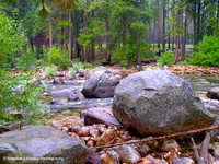 "Among the Boulders" - Yosemite National Park, California