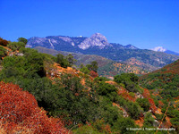 "Colorful Vista" - Sequoia National Park, California