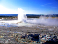 "Pressure"  - Yellowstone National Park, Wyoming, USA