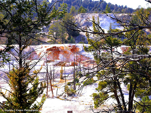 "Dangerous Air" - Yellowstone National Park, Wyoming, USA