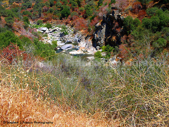 "Dry Vegetation" - Sequoia National Monument, California, USA