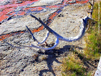 "Bleeding Earth Series"  - Yellowstone National Park, Wyoming, USA