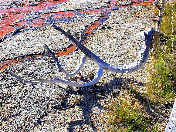 "Bleeding Earth Series"  - Yellowstone National Park, Wyoming, USA