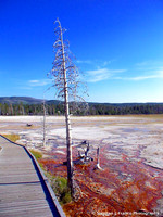 "Bleeding Earth Series" - Yellowstone National Park, Wyoming, USA