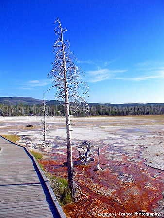 "Bleeding Earth Series" - Yellowstone National Park, Wyoming, USA