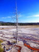 "Bleeding Earth Series"  - Yellowstone National Park, Wyoming, USA