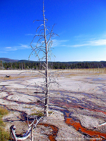 "Bleeding Earth Series"  - Yellowstone National Park, Wyoming, USA