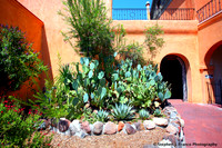 Garden area at San Felipe Church, Albuquerque, New Mexico, USA