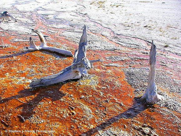 "Bleeding Earth Series" - Yellowstone National Park, Wyoming, USA