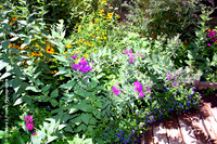 "In the Blooms"