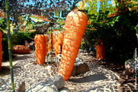 "Hugh Carrots"