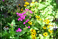 "In the Garden"